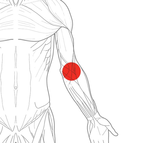 3 Common BJJ Injuries (and How to Prevent Them) BJJ Prehab